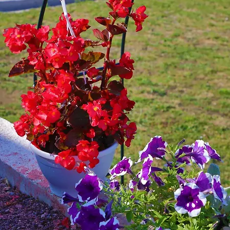 Апартаменты Tiny House Ljiljan